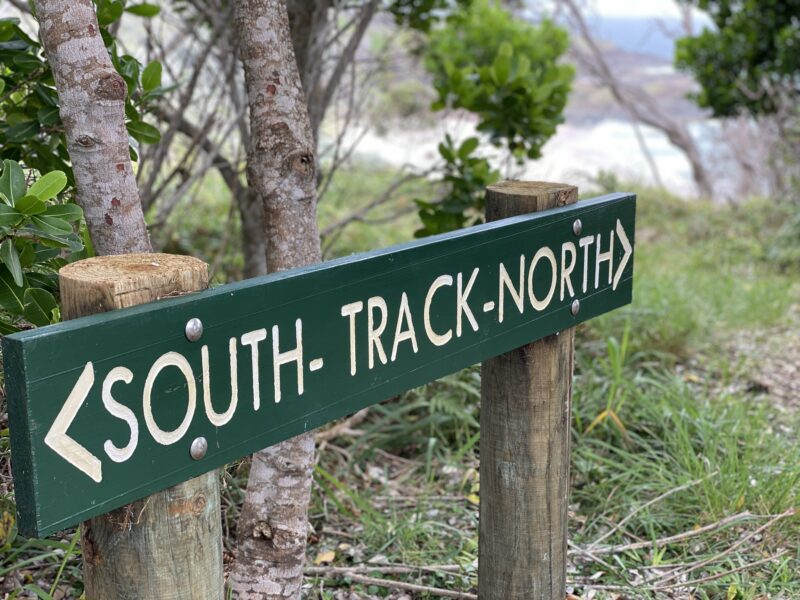 Walking track at Goanna Headland