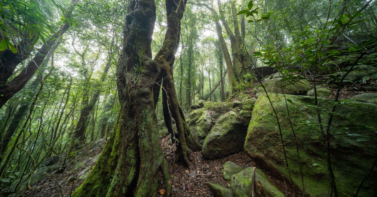 Springbook National Park