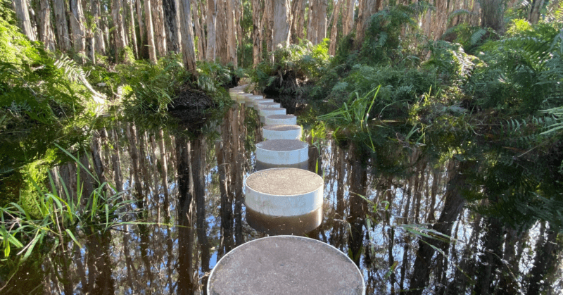 Paperbark walk